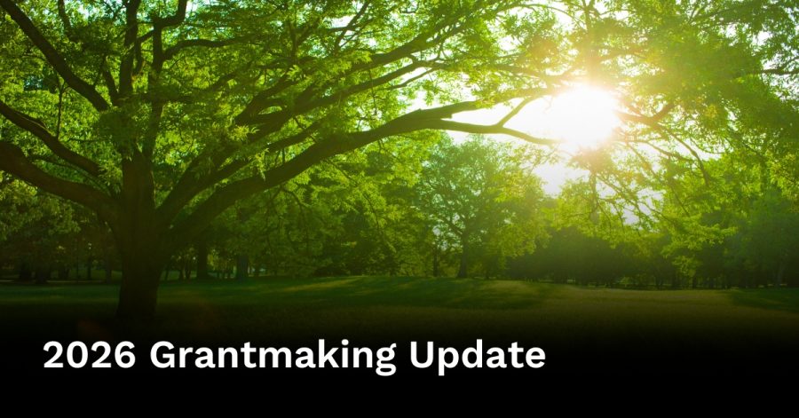 2026 Grantmaking Update (BlogCover)